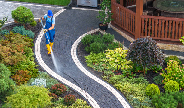 Best Exterior Home Cleaning  in Lucerne, CA